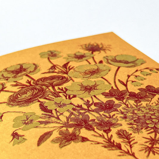 Arktisk blomsterkort