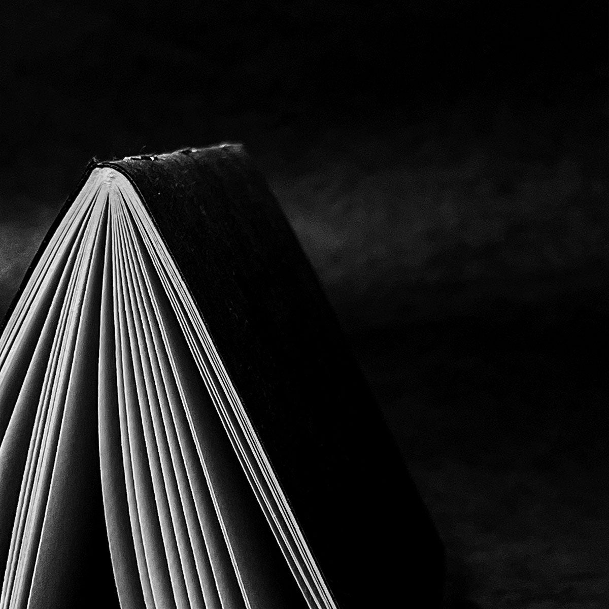 Refleksjon over lys og mørke – BlackBook fra mørket og vintersolverv.