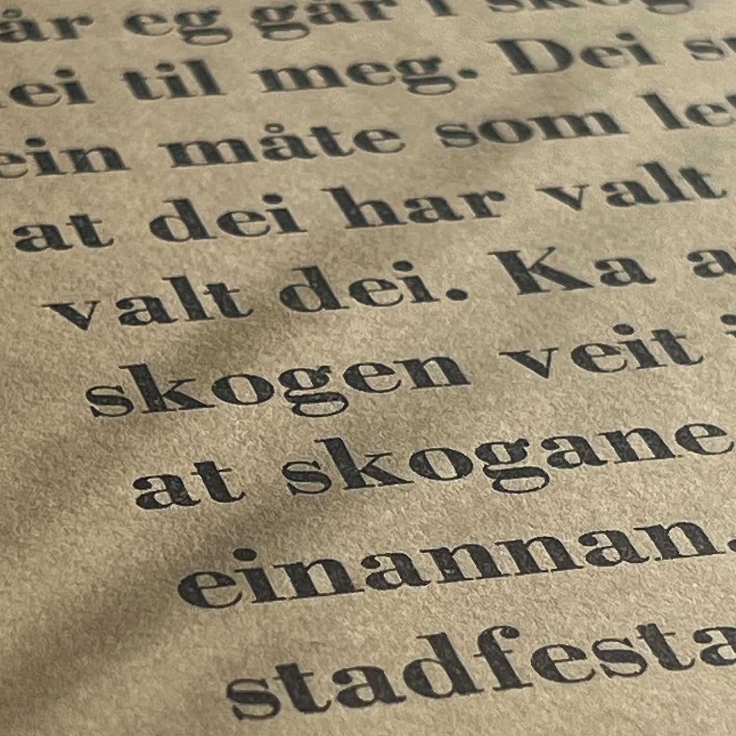 Nordnorsk Litteraturfest - Sigbjørn Skåden - Plakat